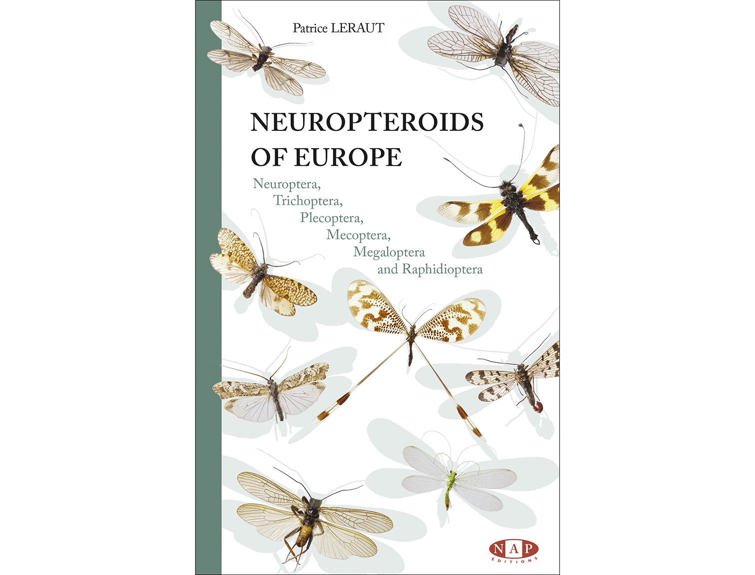 Neuropteroids of Europe